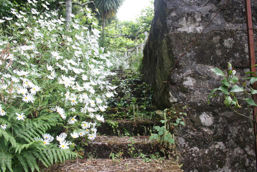 Quinta Das Leiras Santo Tirso Exterior photo