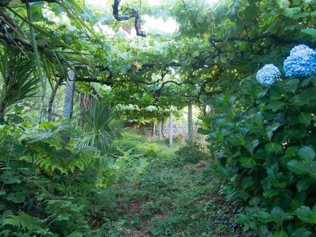 Quinta Das Leiras Santo Tirso Exterior photo
